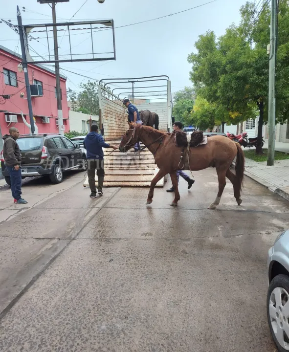 caballo 1 marcado.jpg