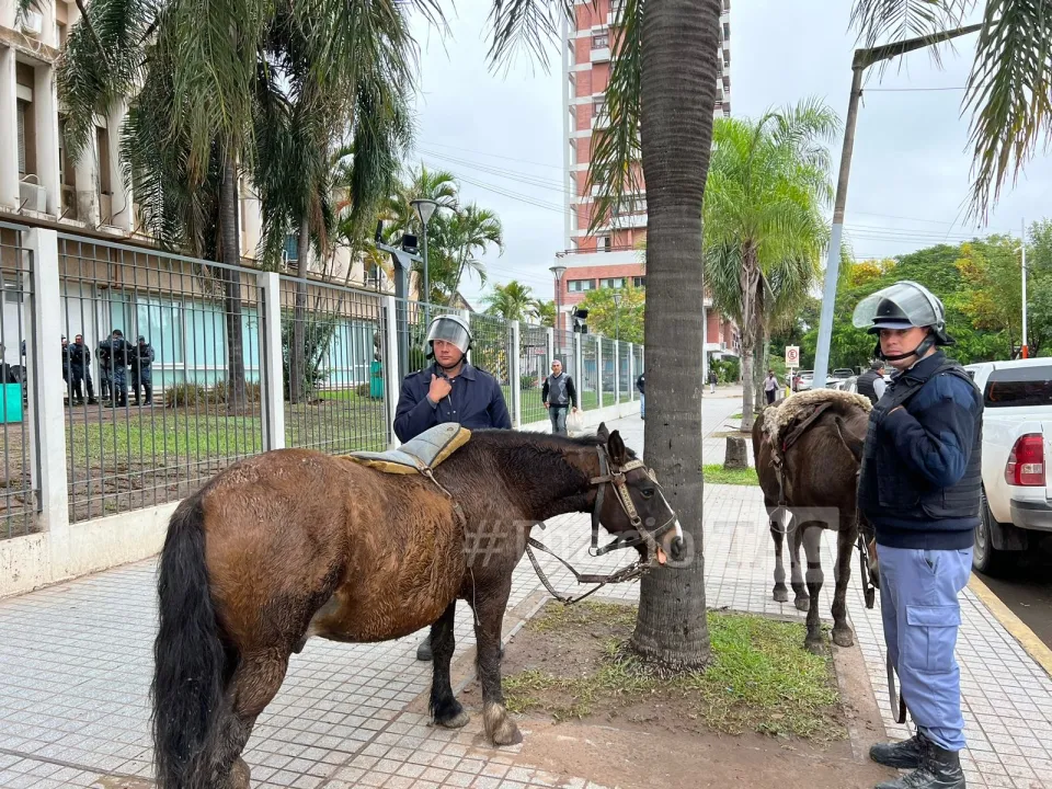 caballo 2 marcada.jpg